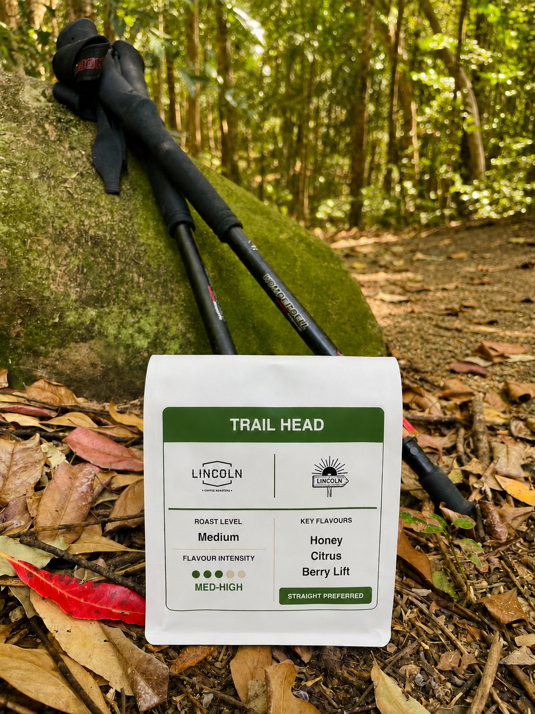 Trailhead - Your next adventure